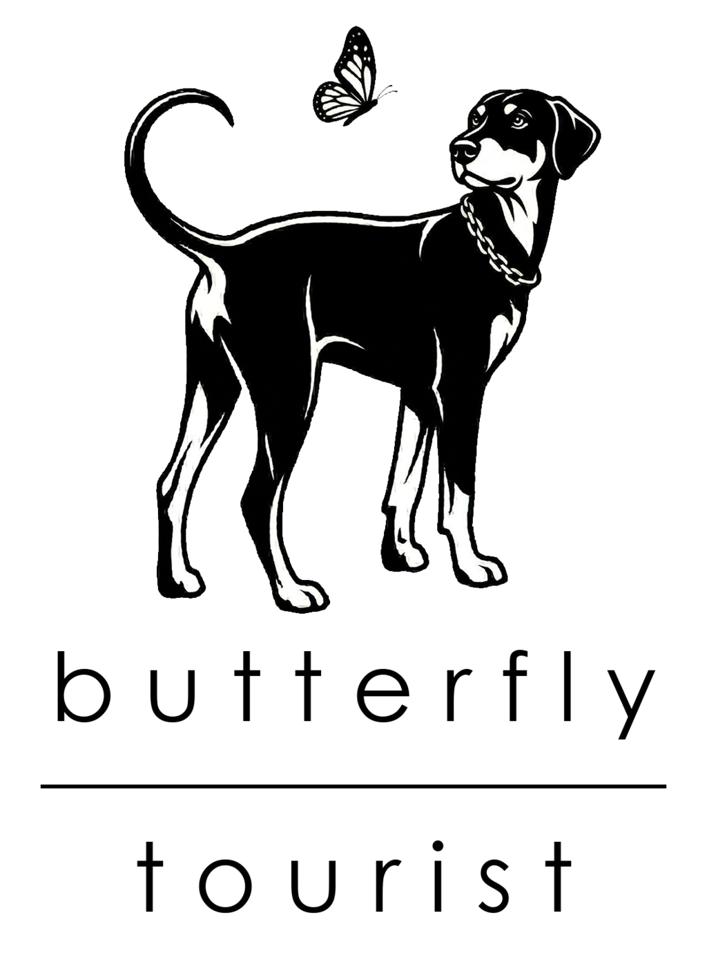 butterflytourist.com